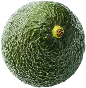 Avocado-skin-top