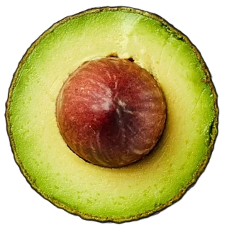 avocado-seed